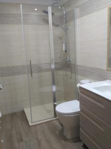 米瑟斯APARTAMENTOS CAMINO SANTO TORIBIO的带淋浴、卫生间和盥洗盆的浴室
