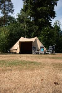 MeppenTent-Ok Meppen的田野上带两把椅子的帐篷