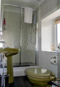 泰纳布鲁厄赫Tregortha Guest House的一间带绿色卫生间和淋浴的浴室