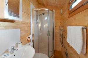 梅德斯通The Cabin with Hot Tub的带淋浴和盥洗盆的浴室