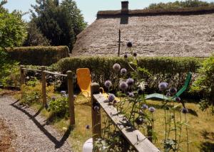 博克霍尔恩Frieslands Ferienwohnung的一座种有紫色花卉和茅草屋顶的花园