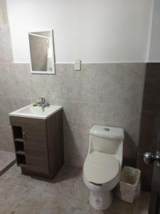 托雷翁Hotel del Bosque的一间带卫生间和水槽的浴室