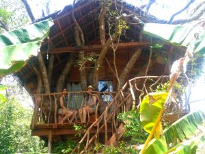 哈伯勒内Habarana Tree House Ambasewana Resort的两个女人坐在树屋的阳台上