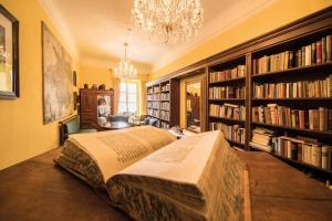 蒙德塞司罗思月亮湖酒店的一间设有一张大床和书籍的房间