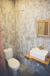 北尼科西亚The Iskemleci Guest House的一间带卫生间、水槽和镜子的浴室