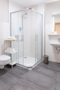 施滕达尔Altstadt-Hotel的带淋浴、卫生间和盥洗盆的浴室