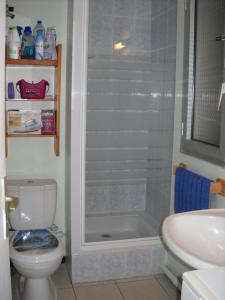布科·莱斯白老城Studio Poumatan的带淋浴、卫生间和盥洗盆的浴室