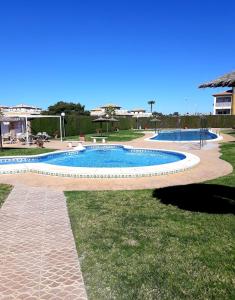 比利亚马丁Fabulous detached large villa 5 bedrooms 3 bathrooms backing onto Villamartin Golf Course的草地上的一个大型游泳池,