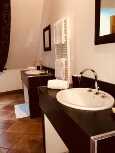 蒂比维莱尔Le Puits D'Angle的一间带两个盥洗盆和大镜子的浴室