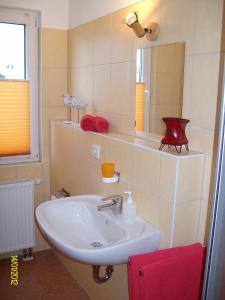 瓦伦Hotel am Weinbergschloss的一间带水槽和镜子的浴室