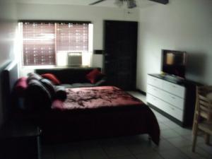 劳德代尔堡Newly Furnished Large Clean Quiet Private Unit的一间卧室配有一张床、梳妆台和电视。
