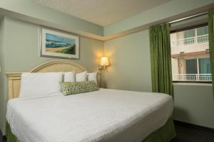 默特尔比奇大海岸海洋度假公寓式酒店的一间卧室设有一张床和一个窗口
