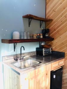 帕霍阿Hale Nonno的厨房配有水槽和台面