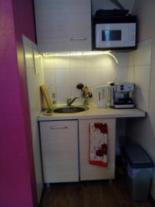 斯克拉斯卡波伦巴Pokoje Gościnne Venus的一间带水槽和微波炉的小厨房
