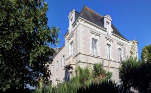 Rochefort-sur-LoireVignoble Château Piéguë - winery的一座蓝色天空的古老建筑