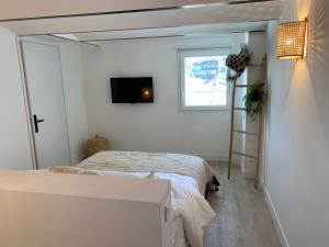 马赛Place aux huiles的一间卧室设有两张床,墙上配有电视。