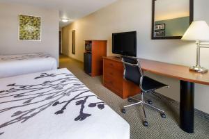 拉皮德城Sleep Inn & Suites的酒店客房配有书桌和床。
