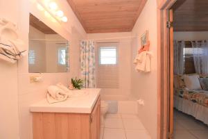 哈勃岛甜苹果公寓式酒店的浴室配有盥洗盆、卫生间和浴缸。