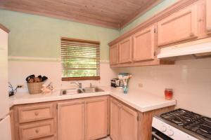 哈勃岛甜苹果公寓式酒店的一个带木制橱柜和水槽的厨房