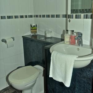 兰贝里斯Alpine Lodge Guest House的一间带卫生间和水槽的浴室