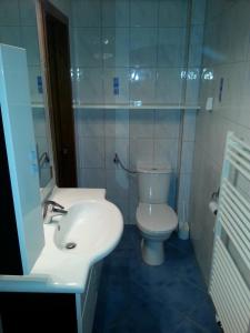 索内纳尔佩·纳斯费尔德非切藤布洛克小屋的浴室配有白色卫生间和盥洗盆。