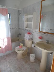 安加罗阿马努特拉酒店的一间带卫生间和水槽的浴室