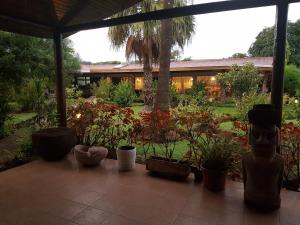 安加罗阿马努特拉酒店的种有植物的庭院和一座建筑