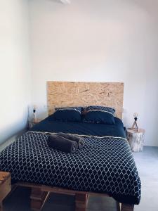 尼姆Allegria Nîmes的一间卧室配有一张大床,配有蓝色的床单和蓝色的枕头。