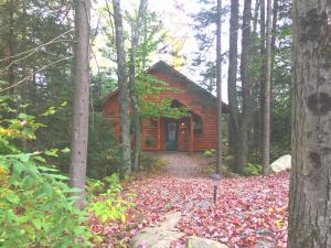 米德尔堡Robert Frost Mountain Cabins的树林里的小木屋,地面上有树叶
