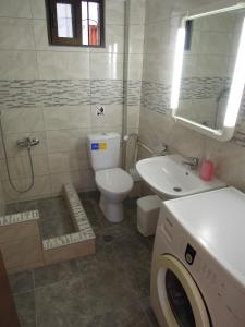 佩科霍里Erofili的浴室配有卫生间、盥洗盆和洗衣机。
