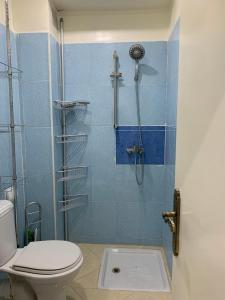 阿加迪尔Agadir Holiday Apartment的带淋浴、卫生间和淋浴的浴室
