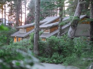 托菲诺长滩度假旅舍的树林中的一座房子