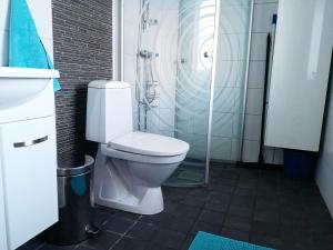 艾尔夫斯宾Skatauddens Lantgård的一间带卫生间和玻璃淋浴间的浴室