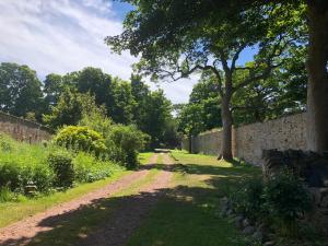 阿伯雷蒂Luffness Castle Cottage的一条土路,有树和墙