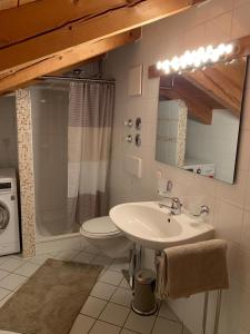 希格斯多夫Entspannen mit Bergpanorama的一间带水槽、卫生间和镜子的浴室