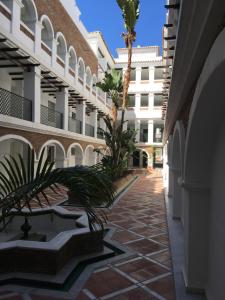 贝纳尔马德纳Avda de las Palmeras Apartment的棕榈树建筑的庭院