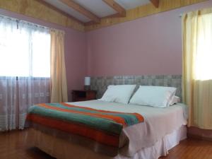 圣佩德罗·德·阿塔卡马Hostal Casa Turipite的一间卧室设有一张床和一个窗口