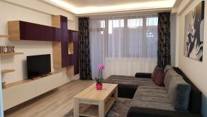 布拉索夫Eme Apartments 2的带沙发和电视的客厅