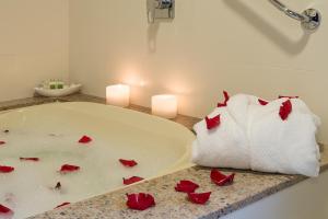 卡内拉苏珊娜维拉公园酒店的浴室设有红色玫瑰和蜡烛水槽