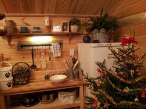 斯特伦松德Cabin on Husky Farm的厨房配有圣诞树和冰箱