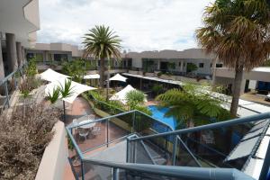 西南岩Rockpool Motor Inn的享有带游泳池和棕榈树的度假村的顶部景致