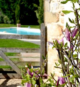 福梅尔Le Mathi的游泳池前带紫色花的围栏