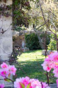 奥斯图尼Centro di Spiritualità Madonna della Nova的草上种着粉红色花的花园