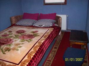萨拉热窝Pansion Stari Konak的一张位于带枕头沙发的床上