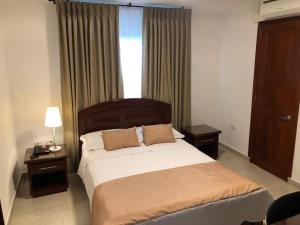 图马科Colon Plaza Hotel的一间卧室设有一张大床和一个窗户。