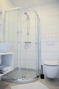 卡梅拉瓦Lofts - Kaunas airport的一间带卫生间的浴室内的玻璃淋浴间
