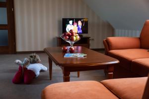 奥斯特罗维茨全景酒店的一个小女孩躺在客厅的地板上,客厅里设有桌子