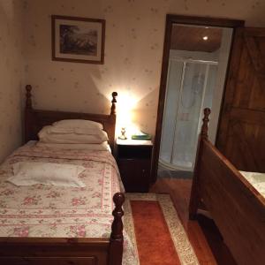 多尼戈尔Teresas Cottage的一间卧室配有一张床和淋浴