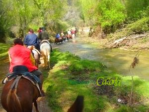 阿罗约弗里奥MONTE PIEDRA的一群骑马沿着河走的人