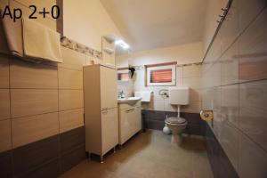 斯塔利格拉德-帕克利尼卡Apartments Mira的一间带卫生间和水槽的小浴室